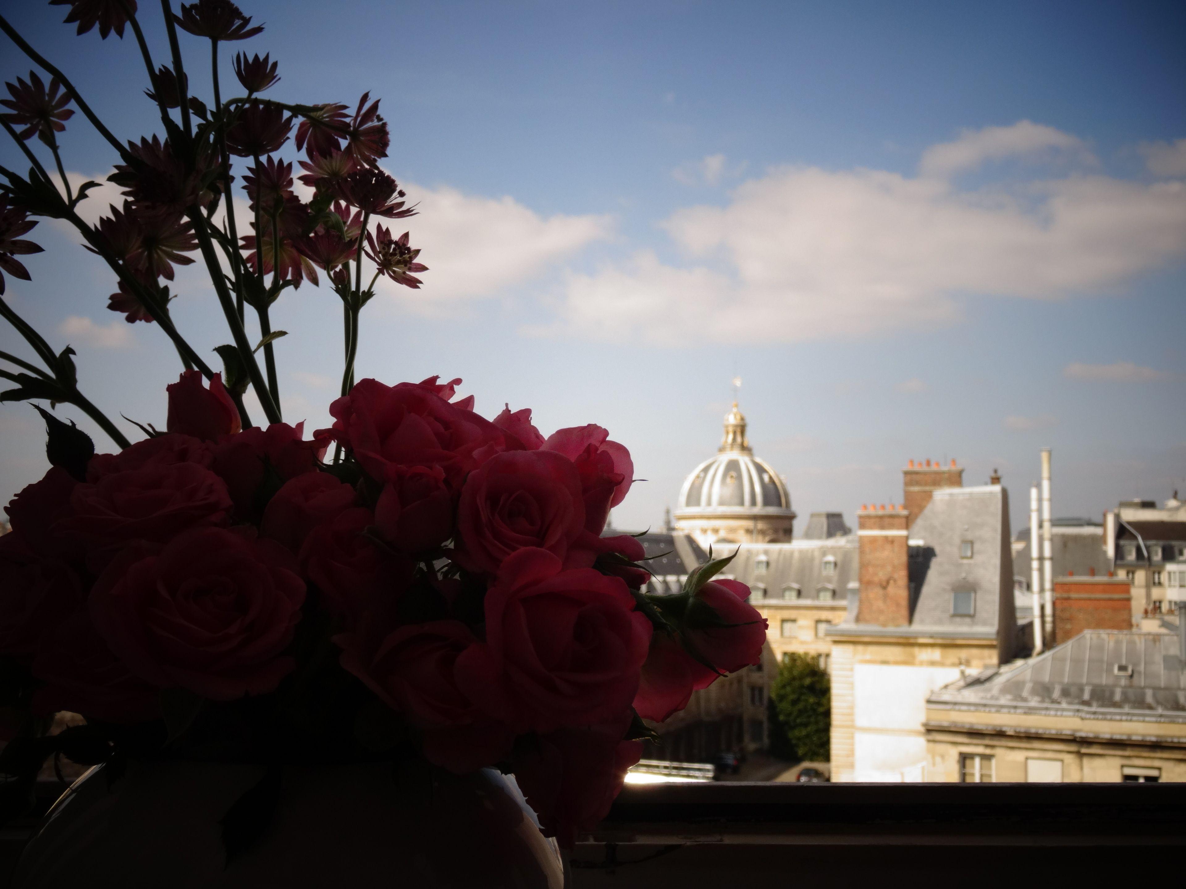 De Conti - Renove 3*